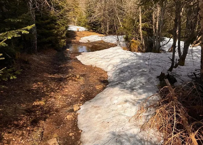 Holiday home Le Relais De Lustrande *